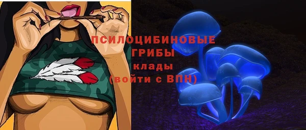 марихуана Белокуриха